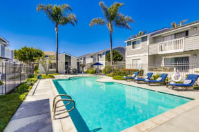 Newport Seacrest Apartments Lifestyle - Pool
