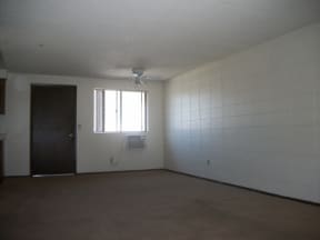 1x1 Living Room & Dining Room
