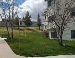 Beautiful yard around Emerald Housing