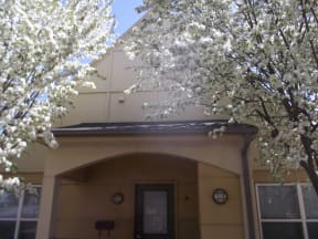 Spring at Fireweed Court