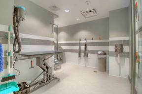 Pet Wash 1
