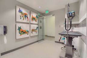 Pet Wash 4
