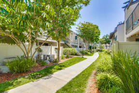 Harbor Cliff Apartments Walkway