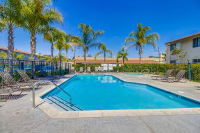 Harbor Cliff Apartments Lifestyle - Pool