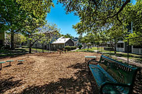 apartments near the domain dog park