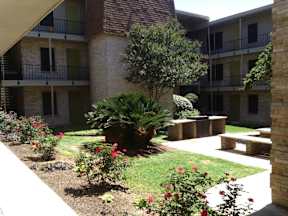 A courtyard with a tree and bushes in front of apartment buildings.