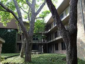 Two trees in front of a building with balconies.