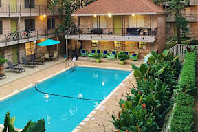 A swimming pool in a courtyard surrounded by green plants.