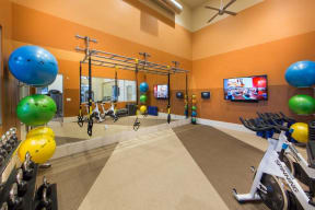 a gym with weights and other exercise equipment and a flat screen tv