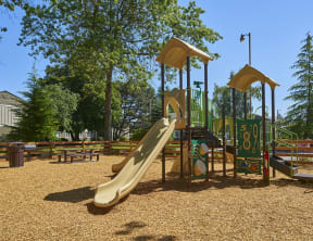 Playground with a large slide and climbing areas. Area completed with wood chips and surrounded with trees.at Woodhaven, Washington, 98203