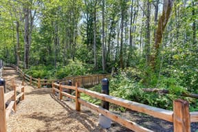 Walking Trail at Avaya Ridge Apartments, Renton, WA