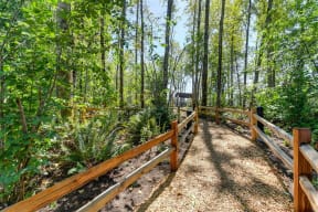 Walking Trail In The Forest at Avaya Ridge Apartments, Renton, Washington