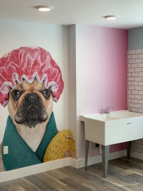 Pet Wash at Avaya Ridge Apartments, Renton
