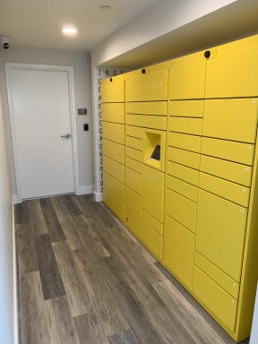 Luxor Locker at Avaya Ridge Apartments, Renton, 98055