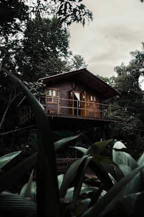 a house in the middle of a forest