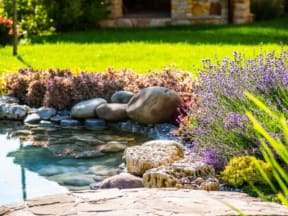 Outdoor Pond