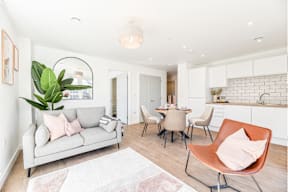 A living room with a grey couch and a white rug.