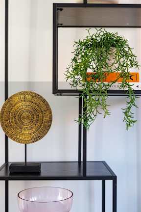 A plant is in a black pot on a black stand.