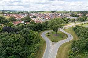 A curvy road with a tree in the middle of a grassy area.