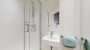 a bathroom with a sink and a shower