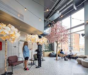 A group of people are gathered in a modern, open space with a tree and decorative flowers.