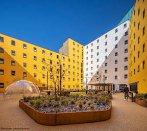 A modern building with yellow and white exterior and a courtyard with a tree and a dome-like structure.