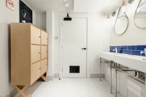 a bathroom with a sink and a mirror and a cabinet