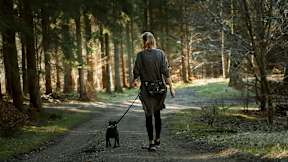 A woman walking her dog in a forest at The Foundry Apartments, Bordon