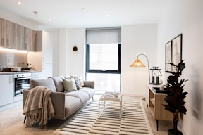 A modern living room with a grey sofa and a striped rug.