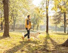 A man walking a dog in a park at Origins Apartments, Cambridge