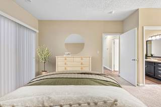 A bedroom with a bed, dresser, mirror, and a plant.