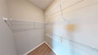 Trendsetter Floorplan at Maven Apartments, Minnesota