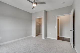 Plush Carpeted Bedroom With Walk-In Closet