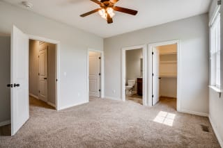 Carpeted Bedroom With Ceiling Fan & Light