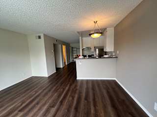 A kitchen area with a counter and cabinets.