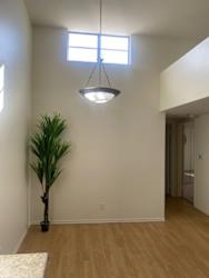 an empty living room with a potted palm tree in the middle of it