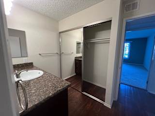 a bathroom with a sink and a shower and a mirror