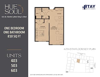 A floor plan for a 431 Dr. Martin Luther King Jr. Blvd apartment shows a one bedroom, one bathroom apartment is 810 square feet.