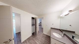 A bathroom with a sink, mirror, and toiletries. at Paperbox Lofts Apartments, Salt Lake City  , UT, 84101