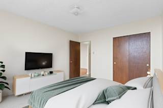 A bedroom with a bed, a television, and a plant.