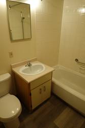A bathroom with a sink and toilet.