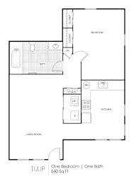 A floor plan of a one bedroom, one bath 540 square foot apartment.