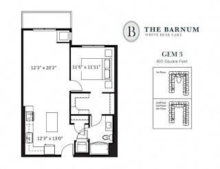 1BedGem31 at The Barnum Apartments, MN, 55110