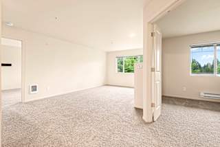 A large, empty room with a carpeted floor and a window showing greenery outside.