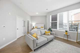A living room with a grey couch and a grey rug.