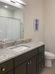 a bathroom with dark cabinets, a vanity sink, a shower and a toilet