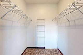 A walk-in closet with shelves and a carpeted floor.