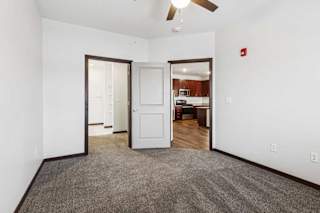 A carpeted bedroom with a ceiling fan and an open walk-in closet.