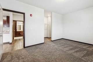 A carpeted bedroom with an open walk-in closet.