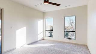 a bedroom with carpeted flooring, two windows, and a ceiling fan